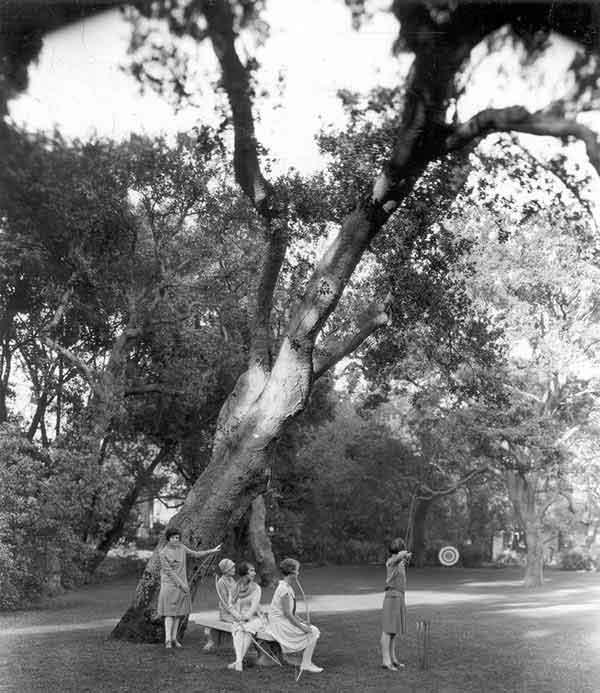 Archery practice - Faculty Glade